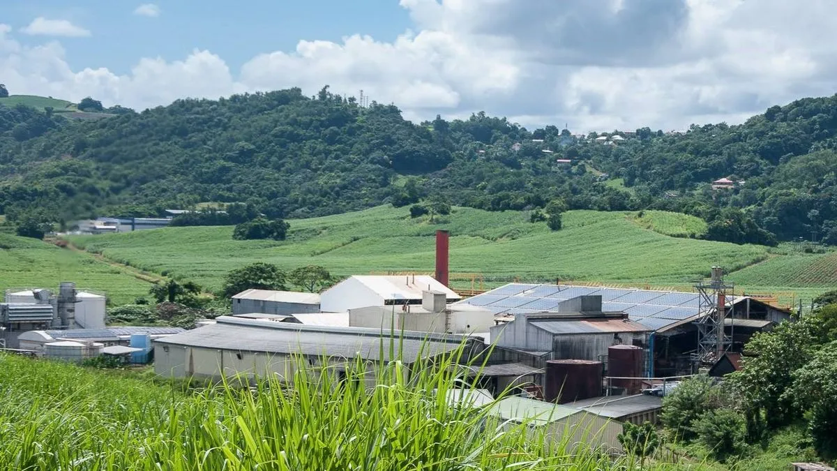 À Trinité, les jeunes redonnent voix au patrimoine industriel